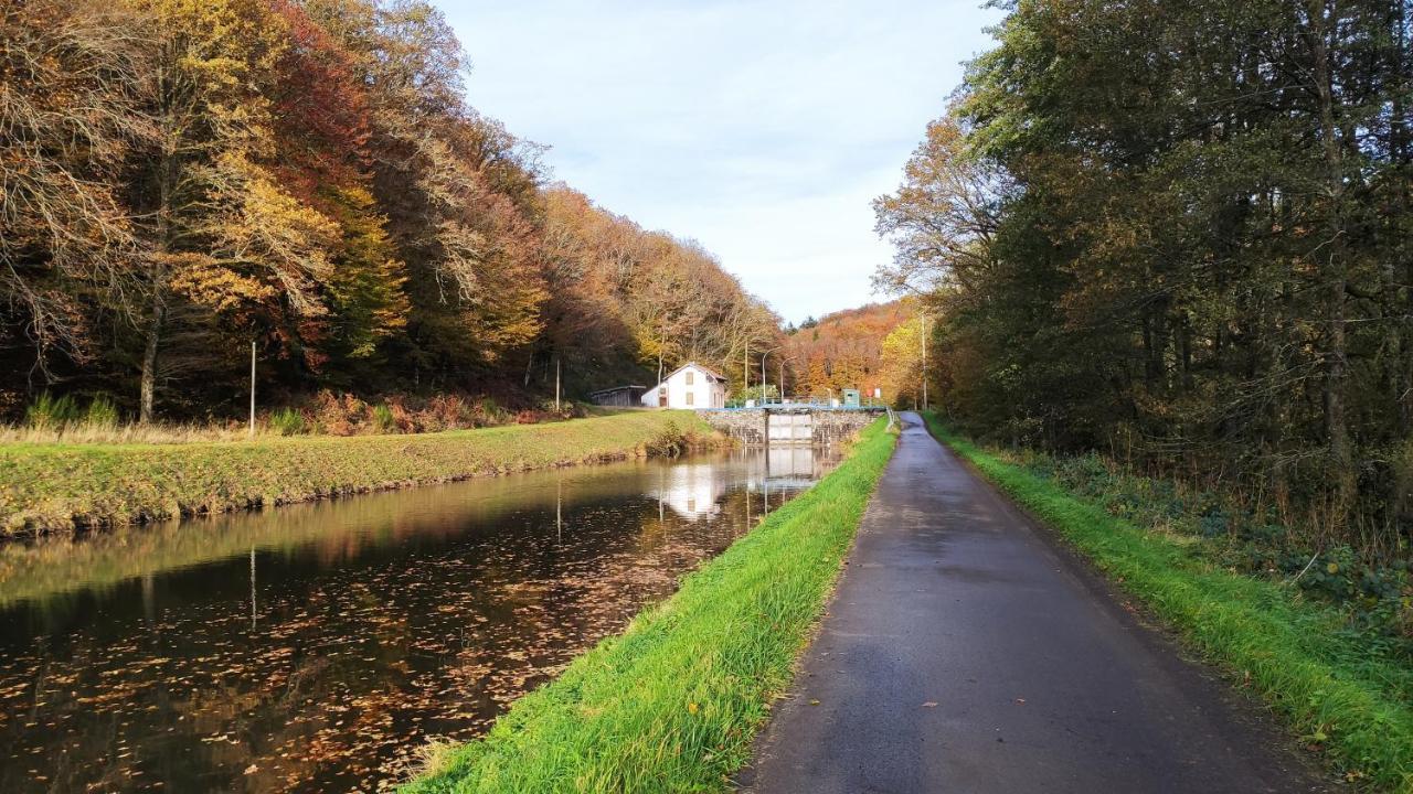 Spacieux Duplex Tout Confort A 200M Des Thermes De Bains-Les-Bains Dans Les Vosges Eksteriør billede